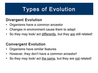 Introduction to evolution | PPT