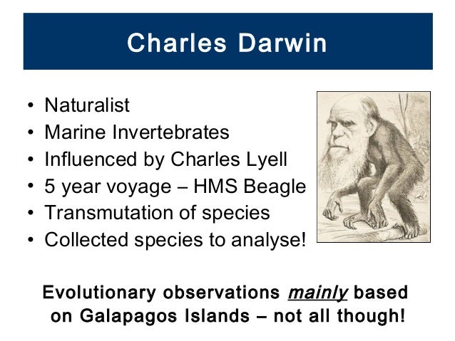 Introduction to evolution