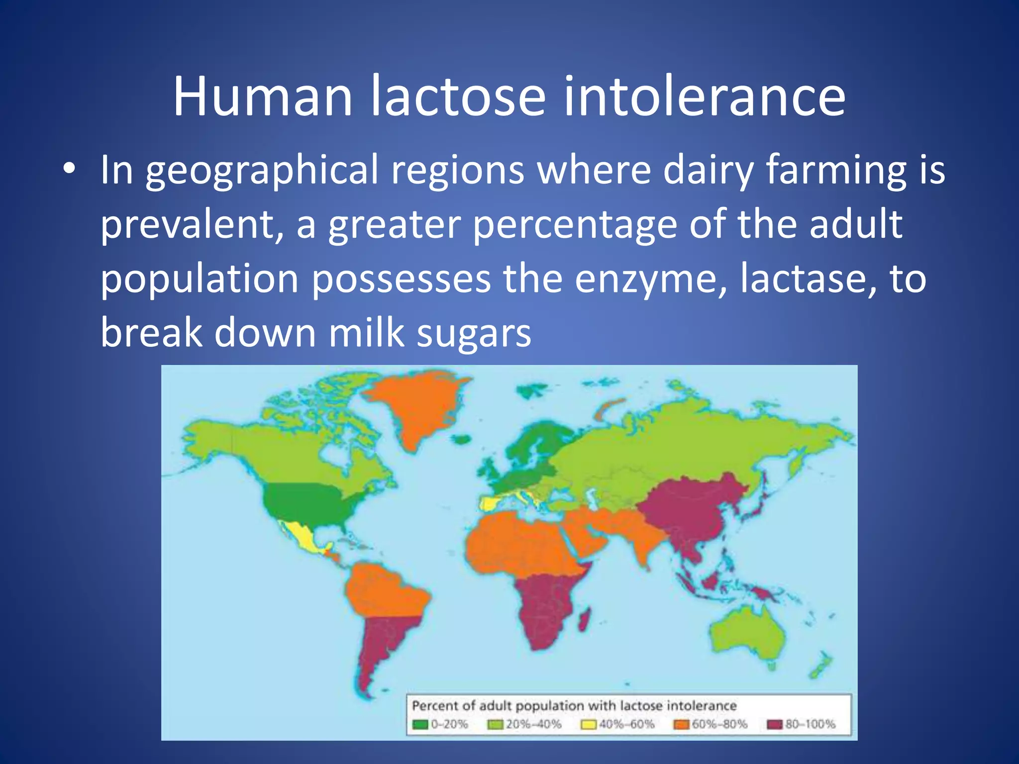 Human lactose intolerance
• In geographical regions where dairy farming is
prevalent, a greater percentage of the adult
population possesses the enzyme, lactase, to
break down milk sugars
 