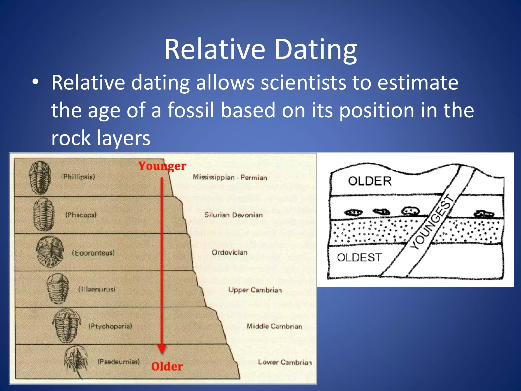 Relative Dating
• Relative dating allows scientists to estimate
the age of a fossil based on its position in the
rock layers
 