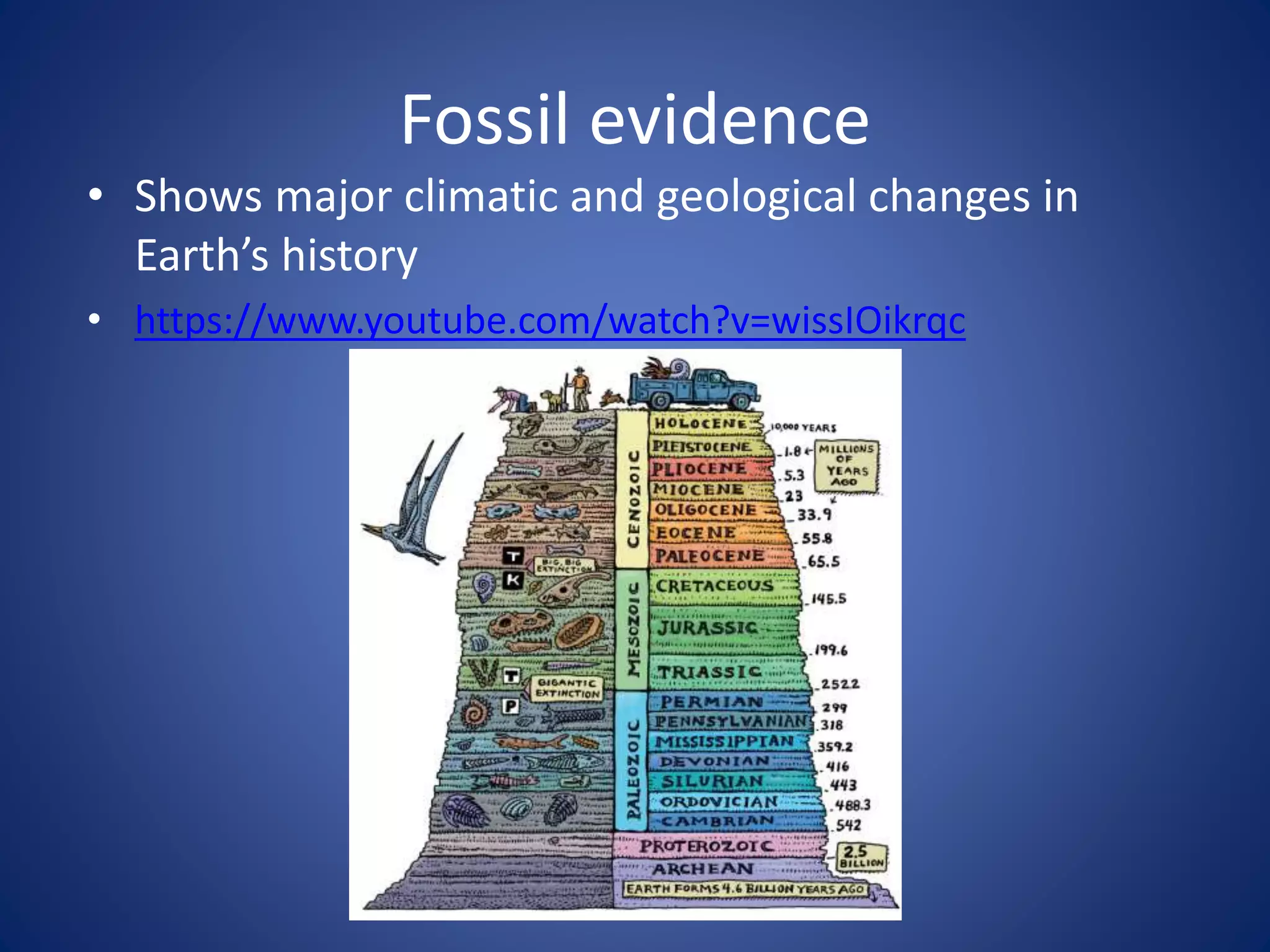 Fossil evidence
• Shows major climatic and geological changes in
Earth’s history
• https://www.youtube.com/watch?v=wissIOikrqc
 