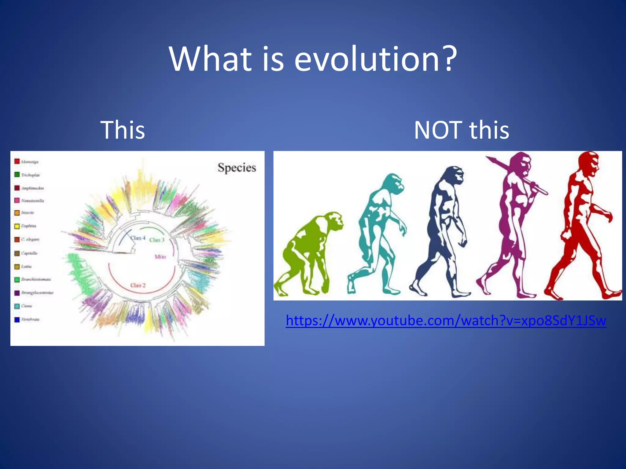 What is evolution?
This NOT this
https://www.youtube.com/watch?v=xpo8SdY1JSw
 
