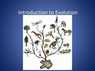 Introduction to Evolution
 