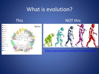 Introduction to evolution | PPTX