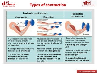 Normal Contraction Introduction To Exercise Physiolo.gy.ppt