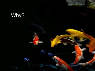 Why? 