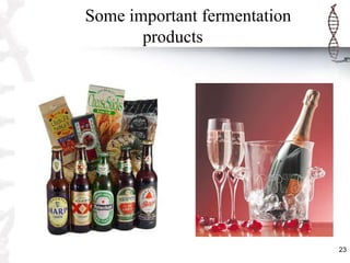23
Some important fermentation
products
 