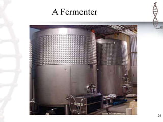 Introduction to fermentation process | PPTX