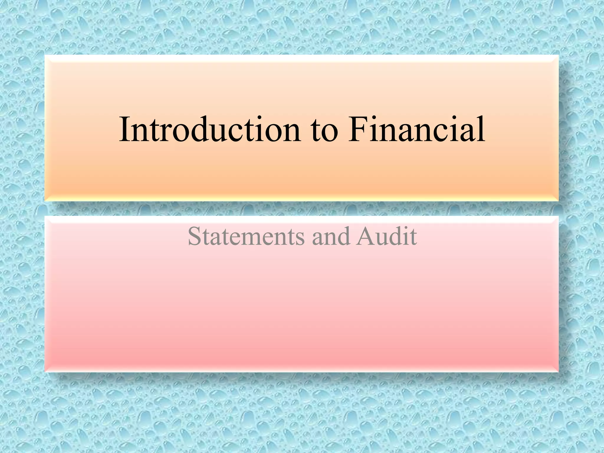 Introduction to Financial
Statements and Audit

 