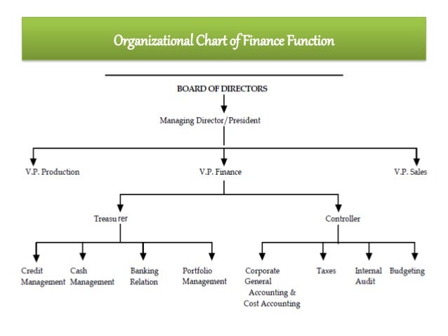 introduction to financial management draw the organisational chart of finance function
