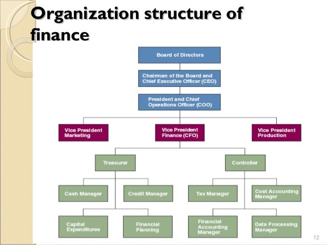 introduction to financial management draw the organisational chart of finance function