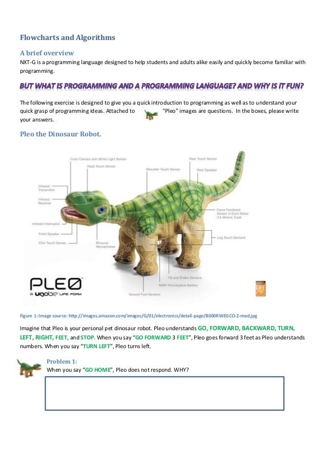 what is algorithm in programming language pdf