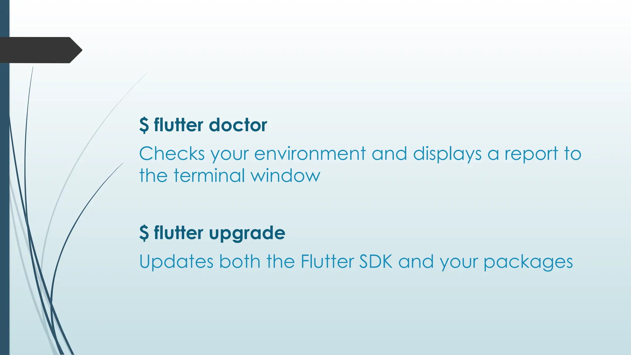 $ flutter doctor
Checks your environment and displays a report to
the terminal window
$ flutter upgrade
Updates both the Flutter SDK and your packages
 