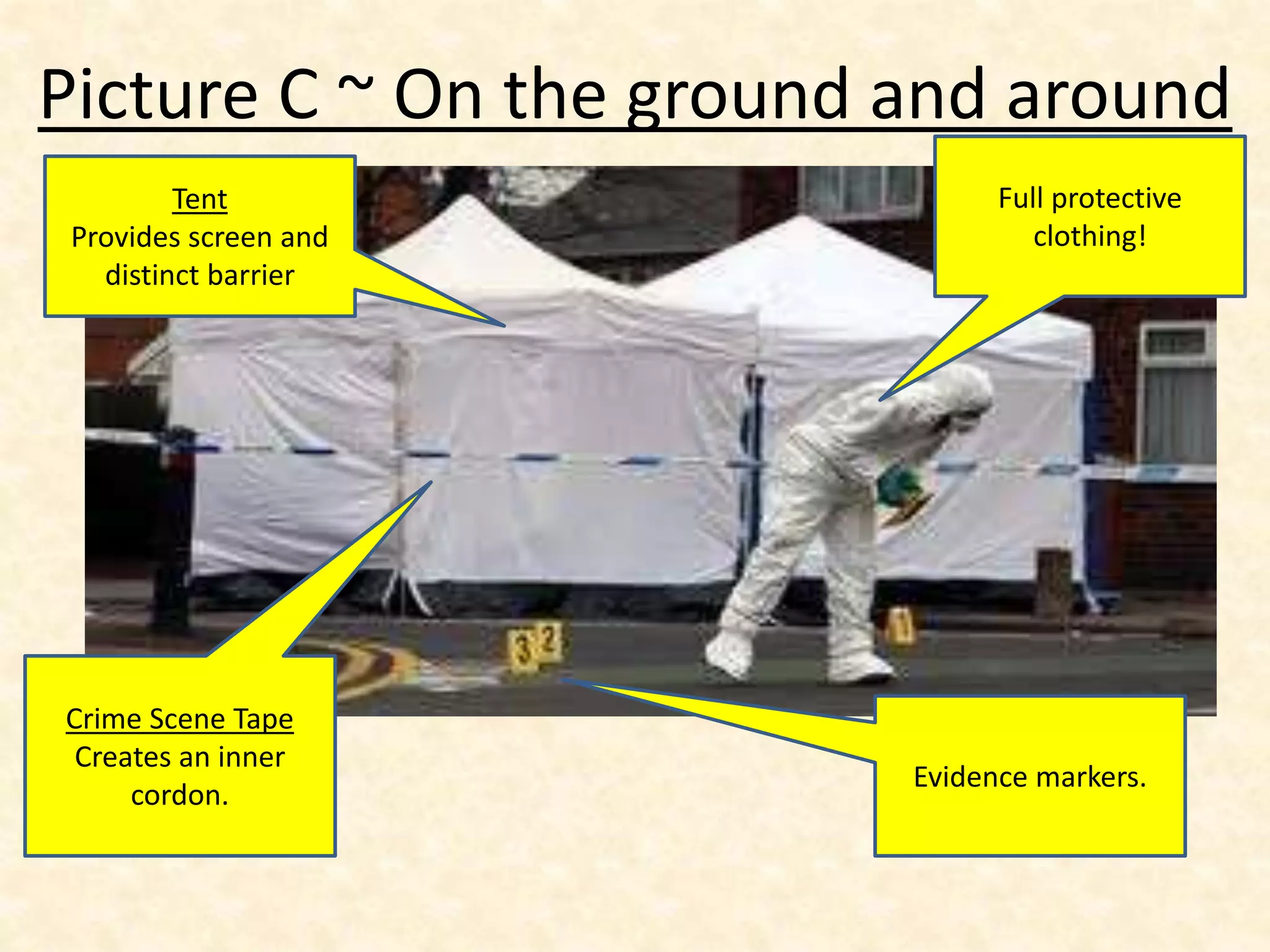 Picture C ~ On the ground and around
Tent
Provides screen and
distinct barrier
Crime Scene Tape
Creates an inner
cordon.
Full protective
clothing!
Evidence markers.
 