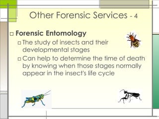 Other Forensic Services - 4
□ Forensic Entomology
□ The study of insects and their
developmental stages
□ Can help to determine the time of death
by knowing when those stages normally
appear in the insect's life cycle
 