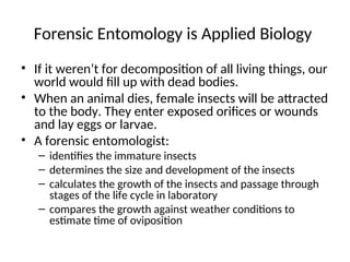 Decomposition Forensic Science Introduction to Forensic Science Forensic Entomology.ppt
