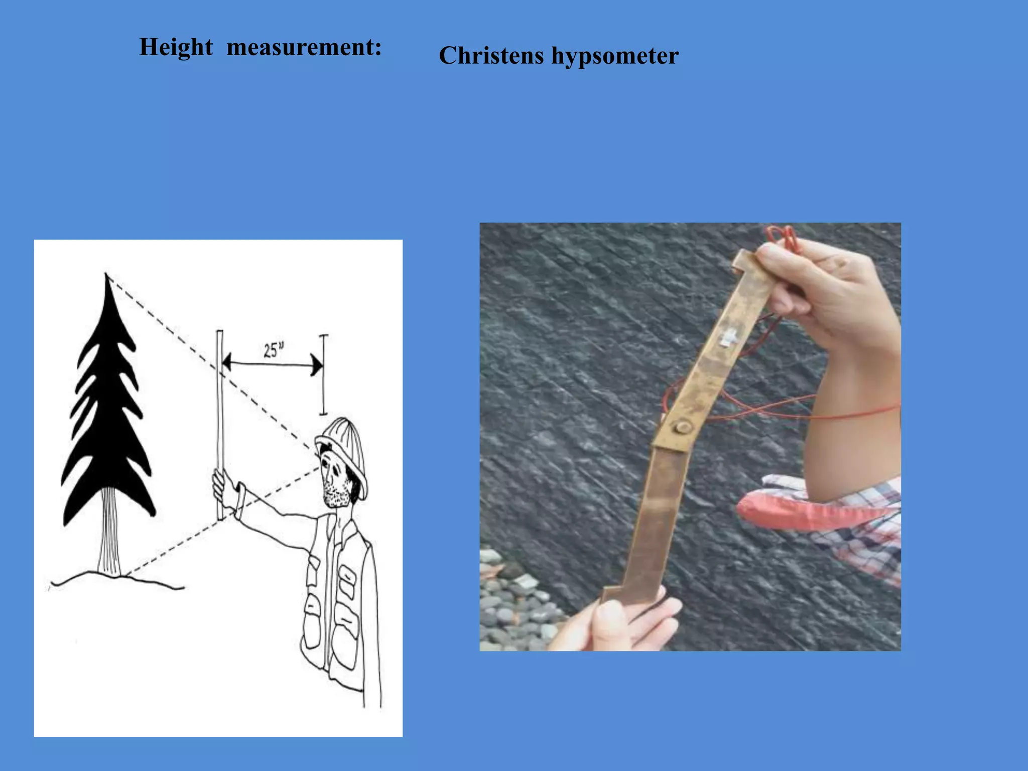 Height measurement: Christens hypsometer
 