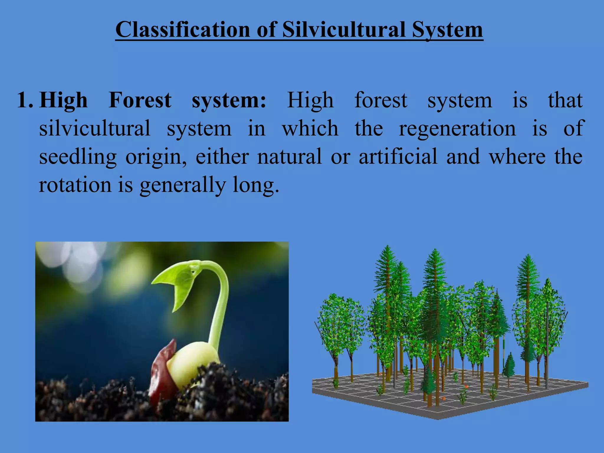 Classification of Silvicultural System
1. High Forest system: High forest system is that
silvicultural system in which the regeneration is of
seedling origin, either natural or artificial and where the
rotation is generally long.
 