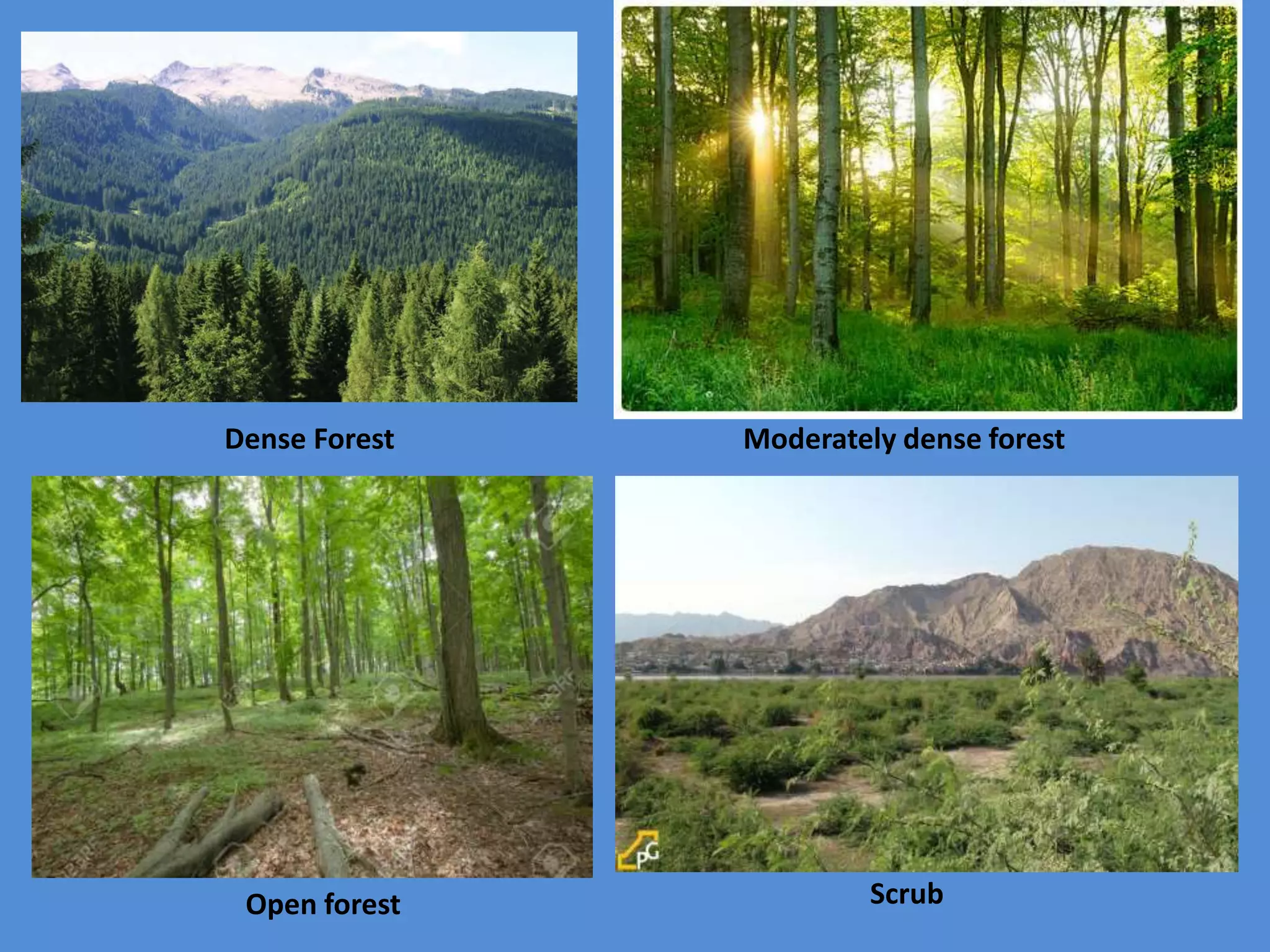 Dense Forest Moderately dense forest
Open forest Scrub
 