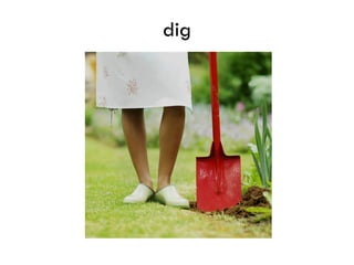 dig
 