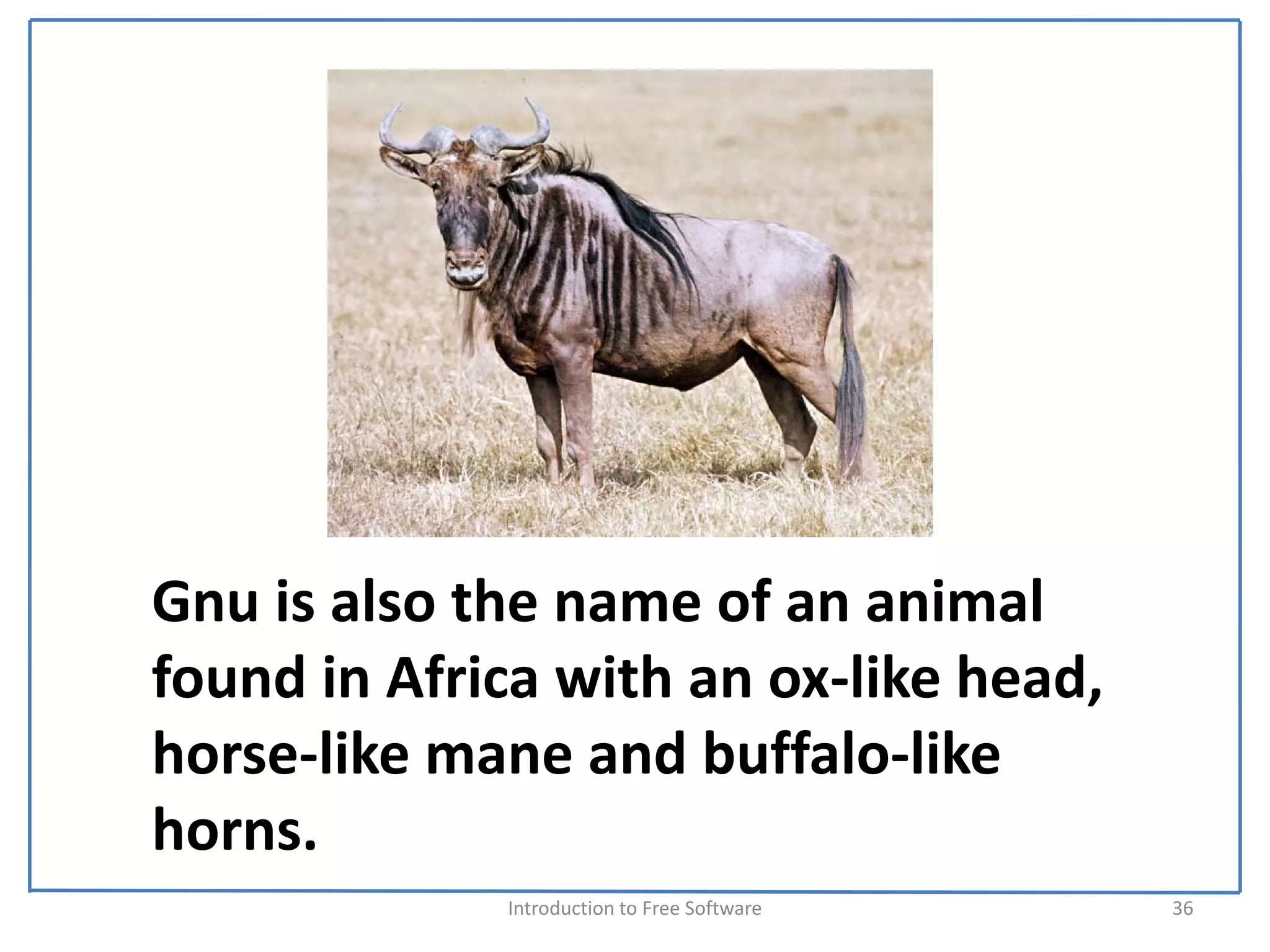 Gnu is also the name of an animal 
found in Africa with an ox‐like head, 
horse‐like mane and buffalo‐like 
horns.
              Introduction to Free Software    36
 