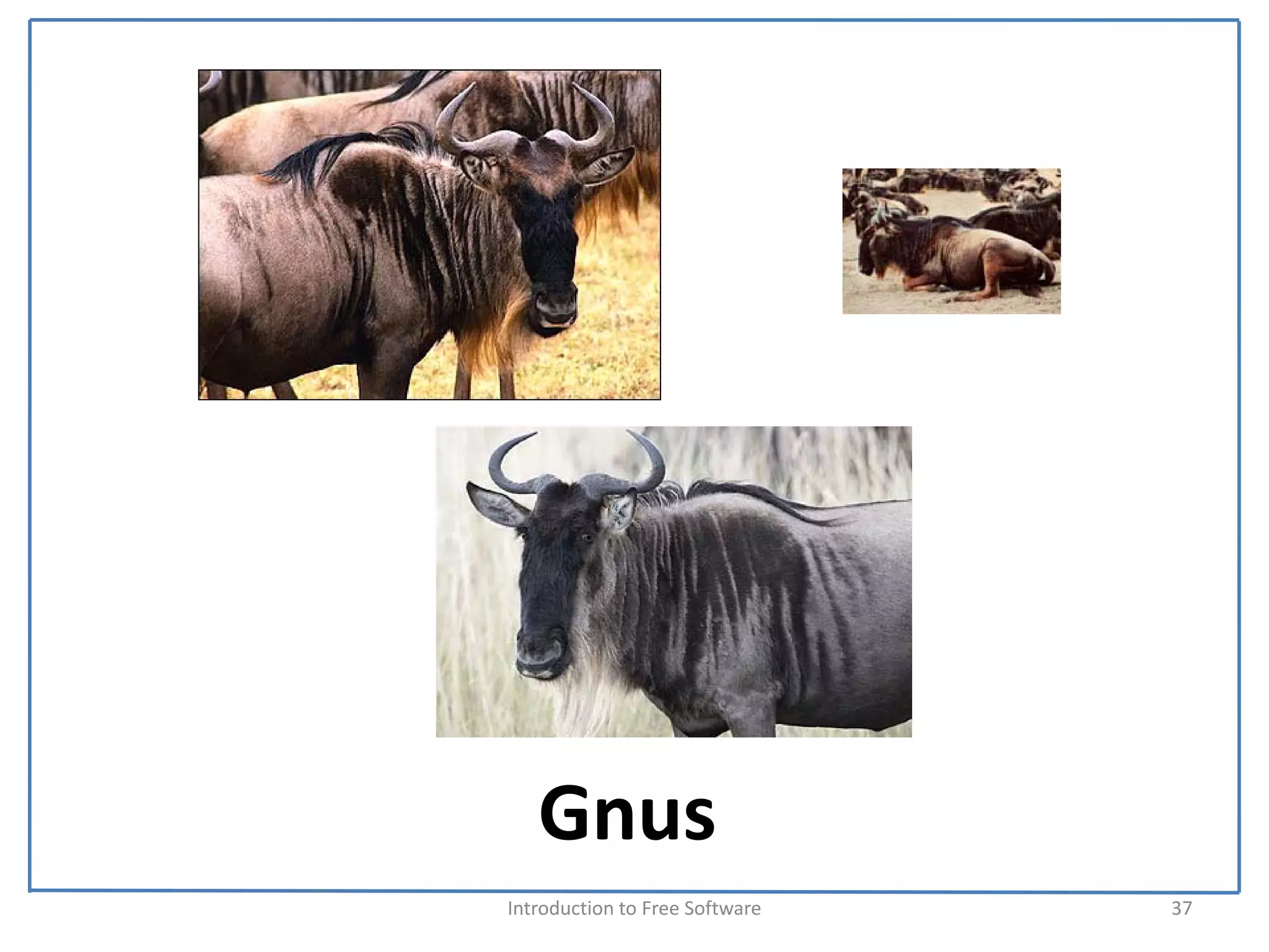 Gnus
Introduction to Free Software    37
 
