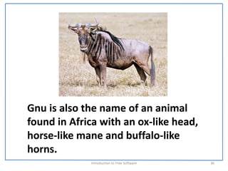 Gnu is also the name of an animal 
found in Africa with an ox‐like head, 
horse‐like mane and buffalo‐like 
horns.
              Introduction to Free Software    36
 