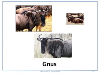 Gnus
Introduction to Free Software    37
 