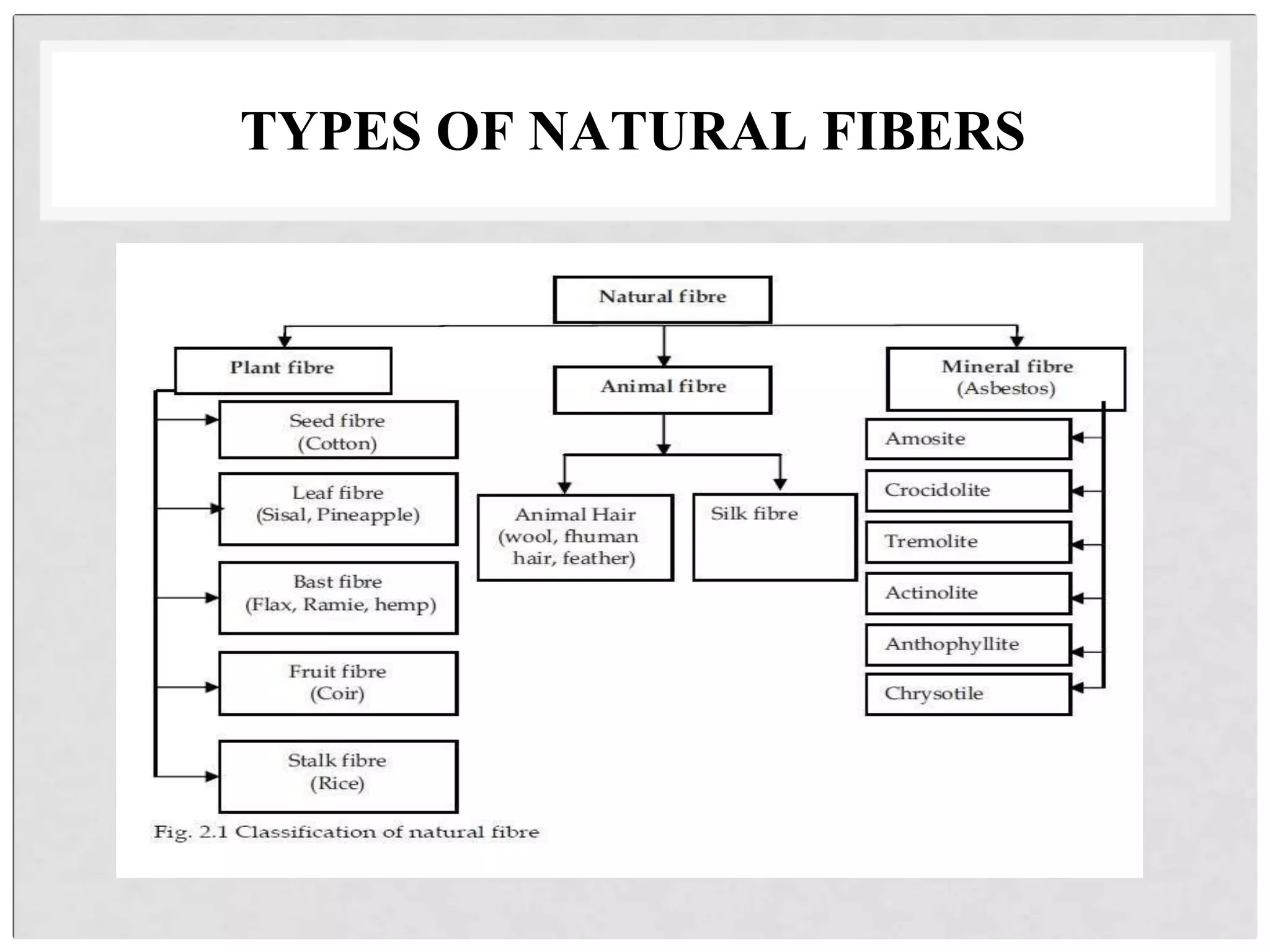 TYPES OF NATURAL FIBERS
 