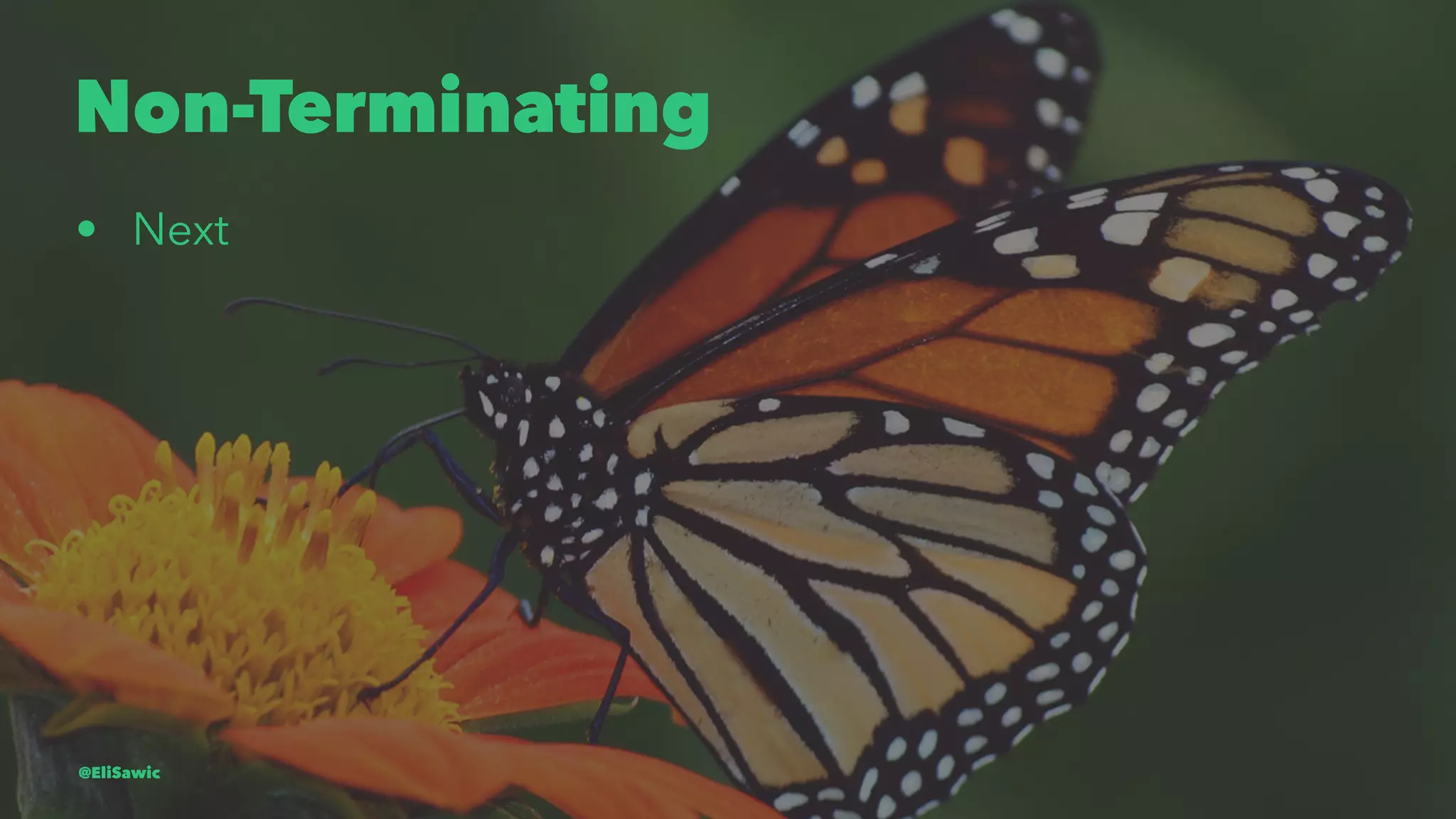 Non-Terminating • Next @EliSawic 