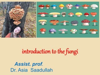 introduction to the fungi
Assist. prof.
Dr. Asia Saadullah
 