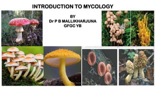INTRODUCTION TO MYCOLOGY
BY
Dr P B MALLIKHARJUNA
GFGC YB
3/10/2022 GFGC YELAHANKA 1
 