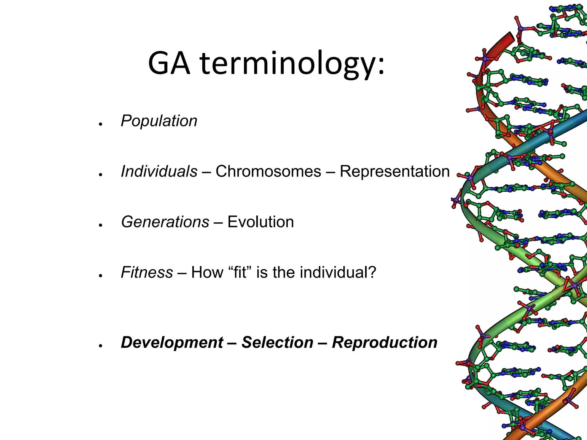 GA terminology: ● Population ● Individuals – Chromosomes – Representation? ● Generations – Evolution ● Fitness – How “fit” is the individual? ● Development – Selection – Reproduction 