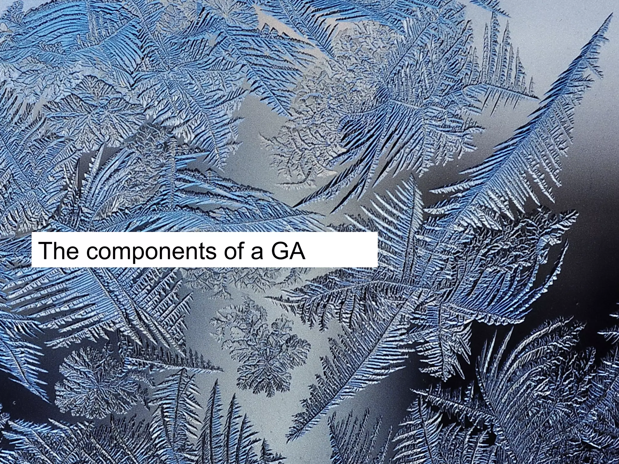 The components of a GA 