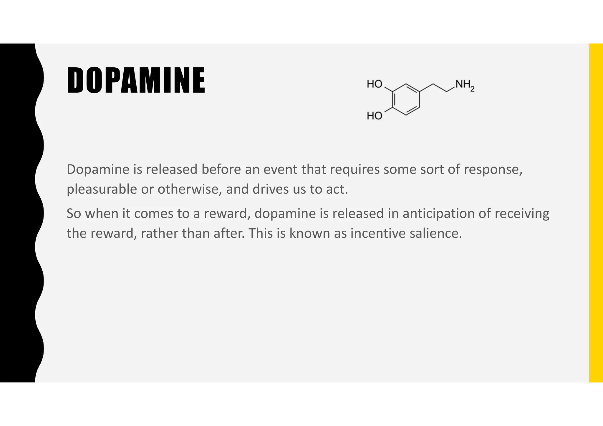DOPAMINE
Dopamine is released before an event that requires some sort of response,
pleasurable or otherwise, and drives us to act.
So when it comes to a reward, dopamine is released in anticipation of receiving
the reward, rather than after. This is known as incentive salience.
 