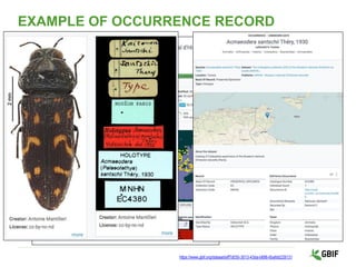 Introduction to GBIF for the African Open Science Platform/Melianie ...
