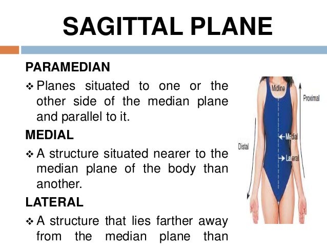 another word for median