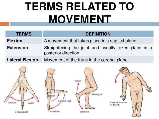 lateral move definition barca fontanacountryinn com what is a lateral move