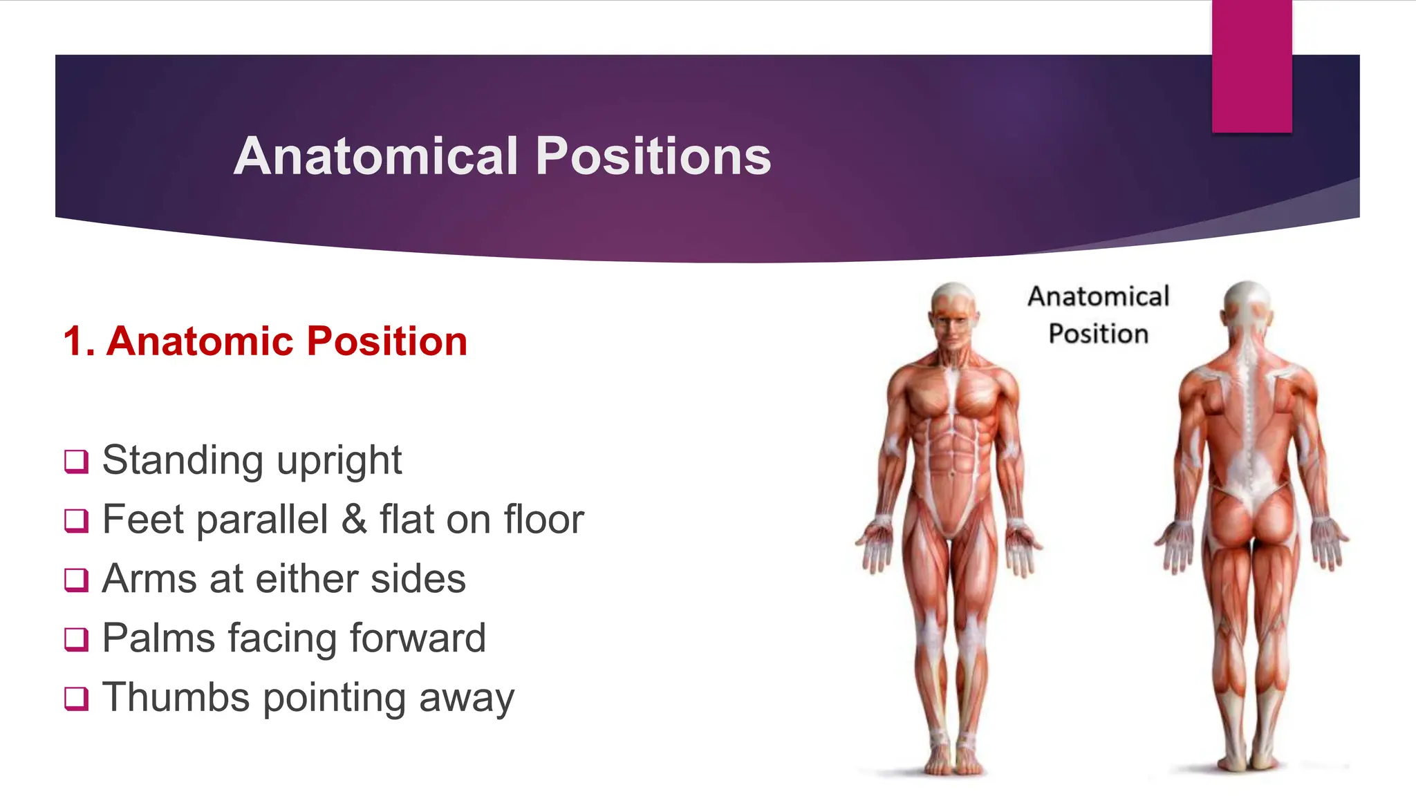 Introduction To General Anatomy Part 1.pptx