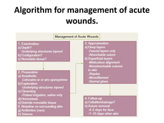 Wound Management Algorithm Introduction to general surgery and history of general surgery | PPTX