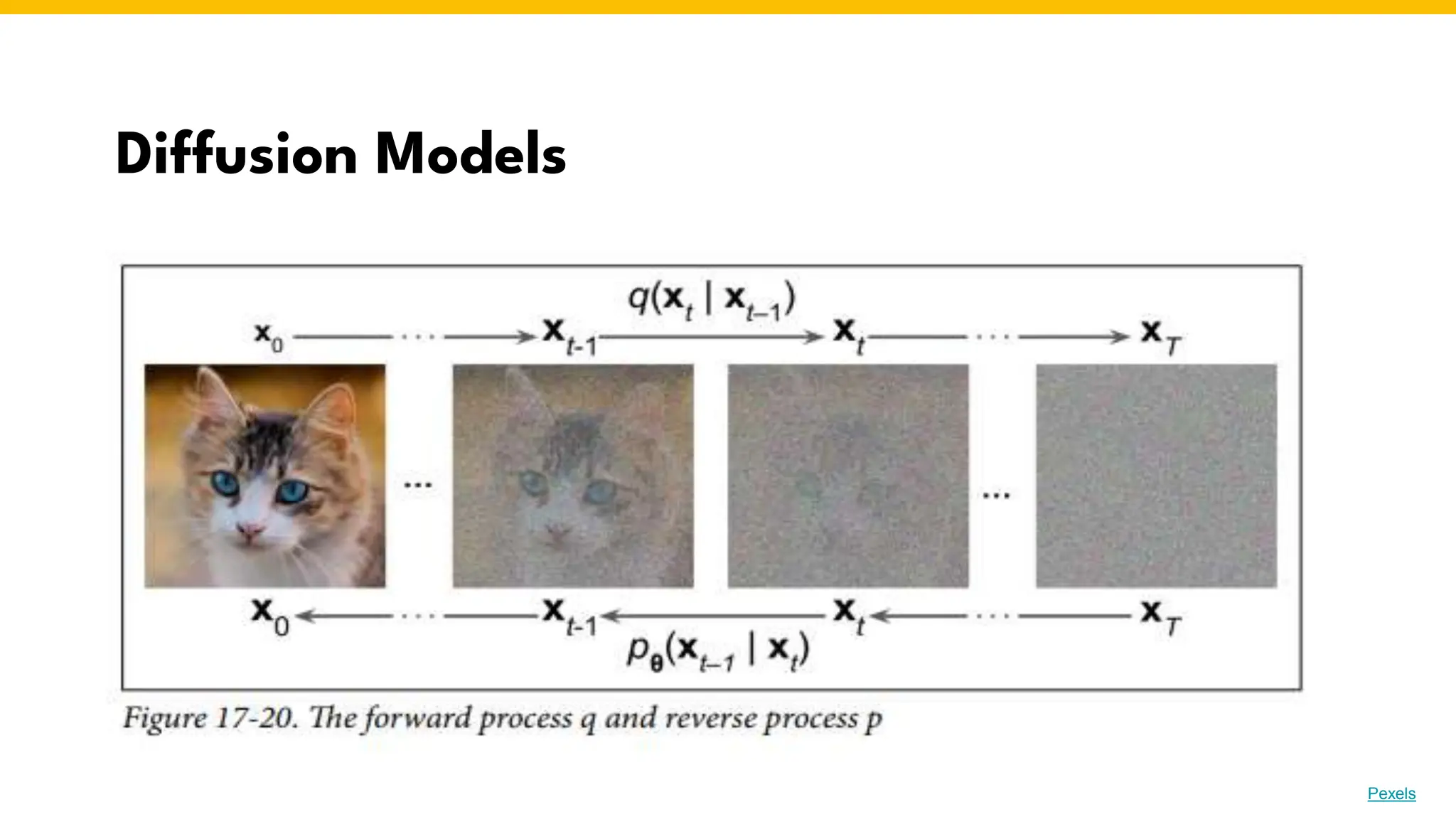 Diffusion Models
Photo by Pexels
 