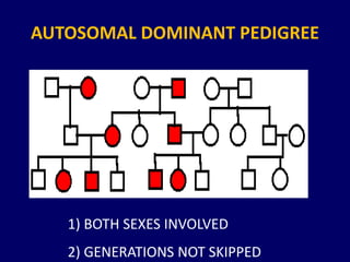 AUTOSOMAL DOMINANT PEDIGREE
1) BOTH SEXES INVOLVED
2) GENERATIONS NOT SKIPPED
 