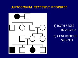 AUTOSOMAL RECESSIVE PEDIGREE
1) BOTH SEXES
INVOLVED
2) GENERATIONS
SKIPPED
 