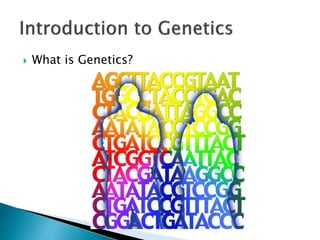 Introduction to Genetics | PPTX