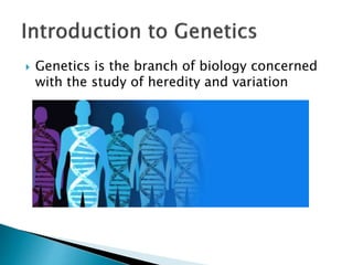 Introduction to Genetics | PPTX