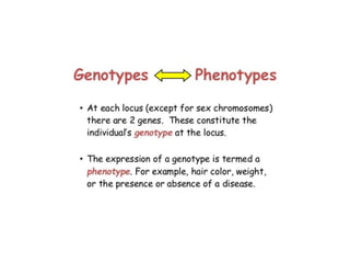 Introduction to genetics