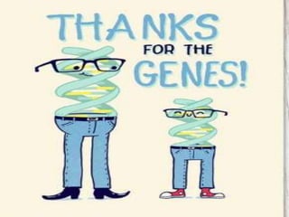 Introduction to genetics