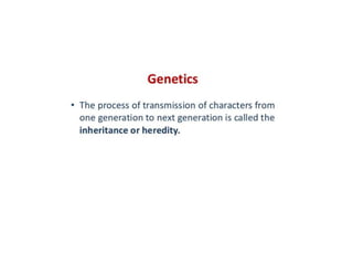 Introduction to genetics