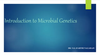 Introduction to Microbial Genetics
DR. YALAVARTHI NAGARAJU
 