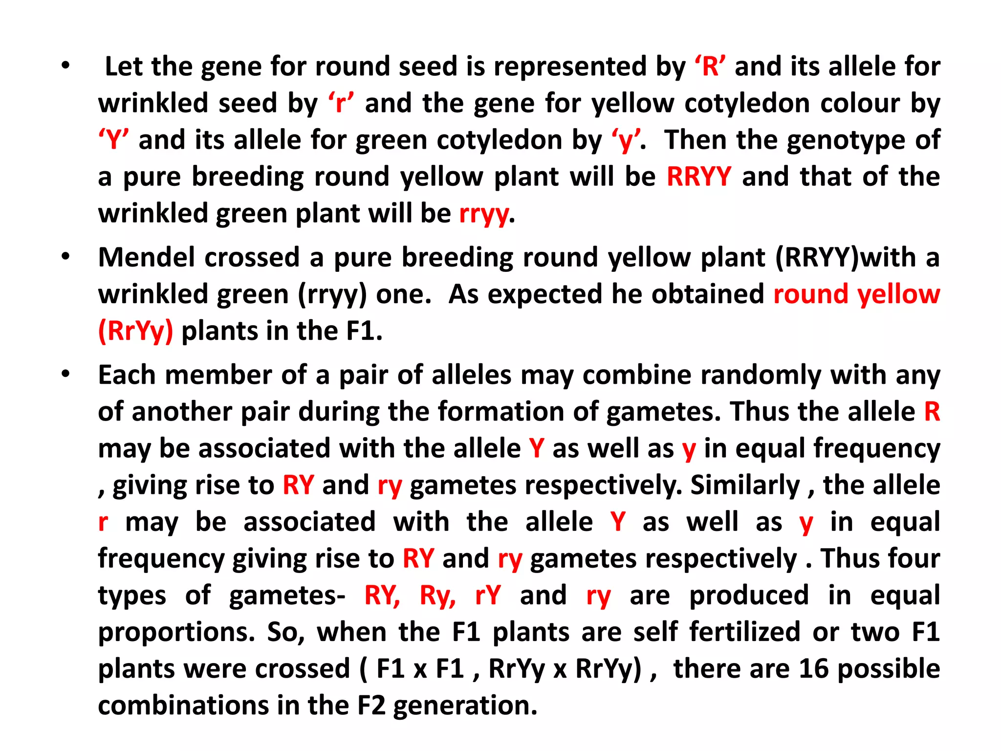 • Let the gene for round seed is represented by ‘R’ and its allele for
wrinkled seed by ‘r’ and the gene for yellow cotyledon colour by
‘Y’ and its allele for green cotyledon by ‘y’. Then the genotype of
a pure breeding round yellow plant will be RRYY and that of the
wrinkled green plant will be rryy.
• Mendel crossed a pure breeding round yellow plant (RRYY)with a
wrinkled green (rryy) one. As expected he obtained round yellow
(RrYy) plants in the F1.
• Each member of a pair of alleles may combine randomly with any
of another pair during the formation of gametes. Thus the allele R
may be associated with the allele Y as well as y in equal frequency
, giving rise to RY and ry gametes respectively. Similarly , the allele
r may be associated with the allele Y as well as y in equal
frequency giving rise to RY and ry gametes respectively . Thus four
types of gametes- RY, Ry, rY and ry are produced in equal
proportions. So, when the F1 plants are self fertilized or two F1
plants were crossed ( F1 x F1 , RrYy x RrYy) , there are 16 possible
combinations in the F2 generation.
 